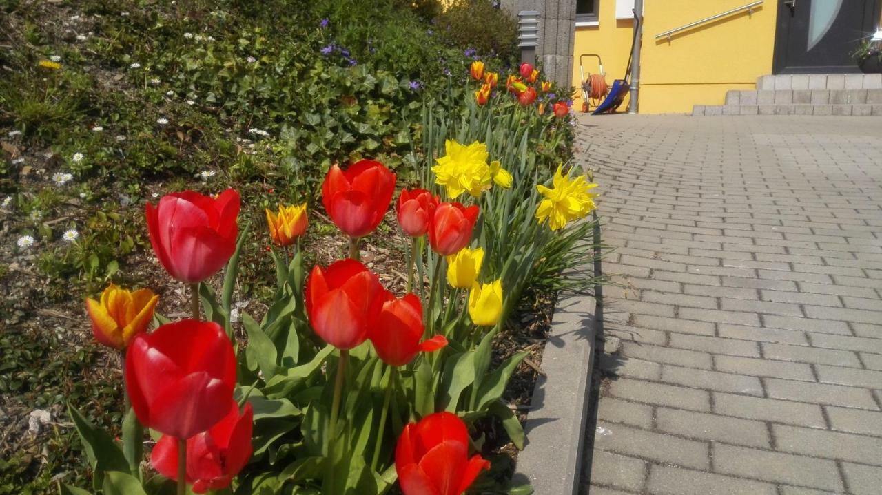 Ferienwohnung Oberpfannenstiel Bernsbach Dış mekan fotoğraf
